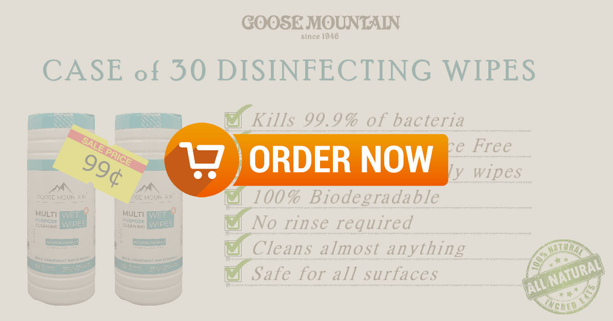 Case of 30 Disinfecting Wipes