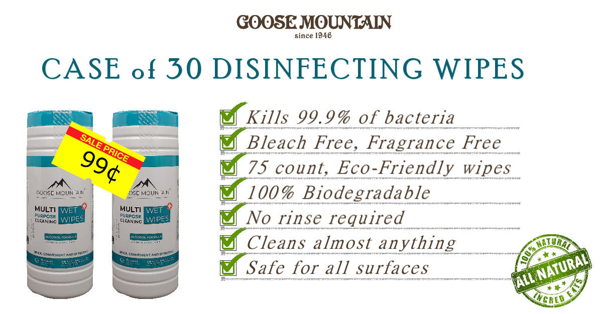 Case of 30 Disinfecting Wipes
