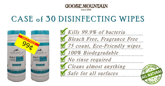 Case of 30 Disinfecting Wipes